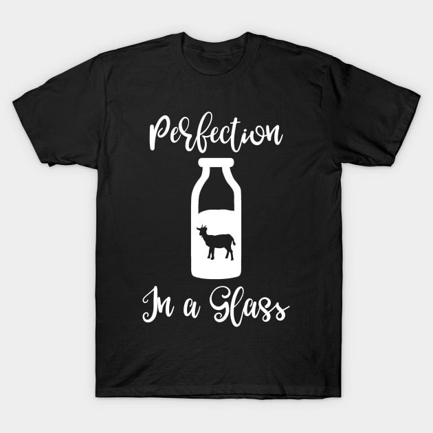 Perfection in a Glass T-Shirt by DANPUBLIC